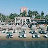 Adana Eskort Ilanlari