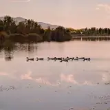 Adıyaman Gölbaşı Olgun Eskort
