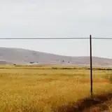 Aksaray Gülağaç Kaliteli Bayan Ilanlari