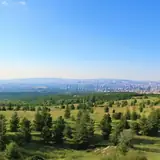 Ankara Bala Eskort Bul