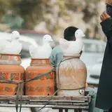 Antalya İbradı Escorta Ne Kadar Bahsis Verilir
