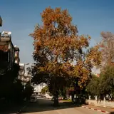 Antalya Korkuteli Haftalik Eskort Anlasmalari