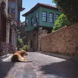 Antalya Eskort Ilanlari