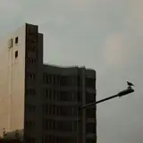 Ardahan Eskort Bayan Ilanlari