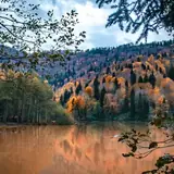 Artvin Borçka Eskort Bayan Profilleri
