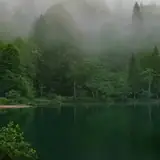 Artvin Escort Puanlama Sistemi