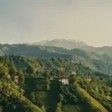 Artvin Eskort Ilan Sitesi