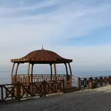 Aydın Efeler Bakimli Bayan