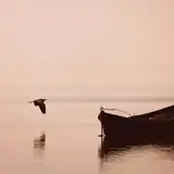 Balıkesir Bandırma Gercek Ilanlar