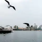 Balıkesir Bigadiç Kaliteli Eskort