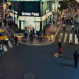 Bartın Escort Ara