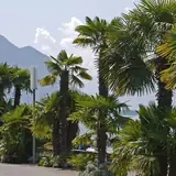 Bingöl Genç Escort Ucretleri