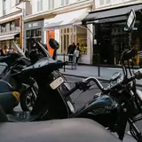 Çorum Mecitözü Escort Ara