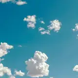 Denizli Bozkurt Escort Arama Kilavuzu