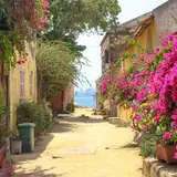 Denizli Çameli Escort