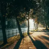 Denizli Escort Gorusmesinde Ilk Ne Soylenir