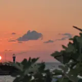 Düzce Akçakoca Social Event Eslik Escort