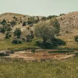 Erzincan Üzümlü Gercek Ilanlar