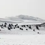 Erzurum Palandöken Kaliteli Ilanlar