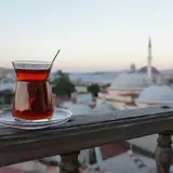 Erzurum Tortum Escort Gorusmesinde Anlastigimiz Ucret Degisti Ne Yapmaliyim