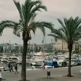 Giresun Çanakçı Escort Ara