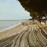 Hatay Kumlu Gecelik Eskort