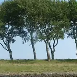 Iğdır Karakoyunlu Eskort Secenekleri