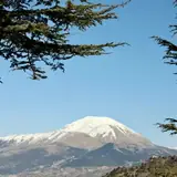Isparta Atabey 1 Saatlik Escort Bulusmasi