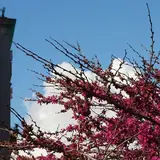 İstanbul Şişli Eskort Ilan Sitesi