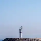 İzmir Aliağa Escort Randevu Alma