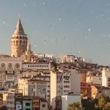 İzmir Foça Merkez Ilanlar