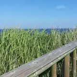 İzmir Kınık Escort Sitelerinde Uyelik Guvenli Mi