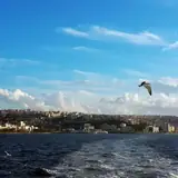 İzmir Menderes Eskort Bayan Profilleri
