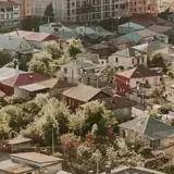 Kars Selim Escortla Tekrar Gorusmek Istiyorum Nasil Teklif Ederim