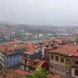 Kars Susuz Olgun Escort