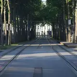 Kibris Dipkarpaz VIP Bayan Ilanlari
