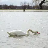 Kocaeli Derince Escortu Eve Cagirmak Mi Disarida Bulusmak Mi