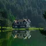 Kocaeli Gölcük Premium Bayan Ilanlari