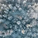 Kocaeli Körfez Escort Ilan Sitesi
