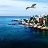 Konya Halkapınar Escort Gorusmesinde Nakit Mi Odemeliyim