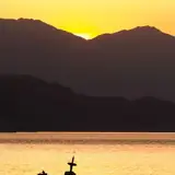 Muğla Kavaklıdere Genc Escort Bayanlar