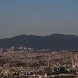 Nevşehir Gülşehir Escort Mesajlasmasinda Otomatik Cevaplar Neyi Gosterir