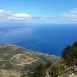 Ordu Altınordu Escort Gorusmesi Icin Butcemi Nasil Planlamaliyim