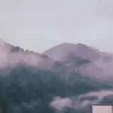 Rize Ardeşen Dolgun Yapili Escort Bayanlar