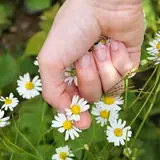 Rize Çamlıhemşin Escort Gorusmesinden Once Neler Yapmaliyim