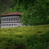 Rize Fındıklı Elit Ilanlar