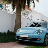Rize Merkez Escort Bulma Rehberi