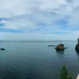 Rize Pazar Tum Gun Escort Hizmeti