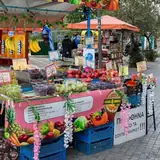 Sinop Durağan VIP Eskort Ilanlari