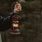 Sinop Saraydüzü Bayan Ilanlari
